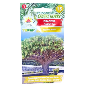 DRACENA SMOCZA - drzewo smocze, smokowiec - nasiona Toraf 5szt.