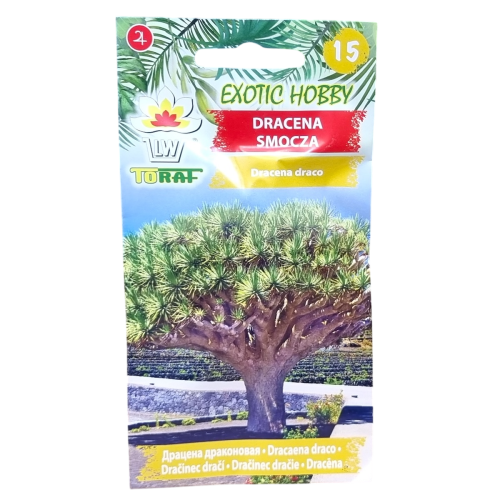 dracena-smocza-1.png