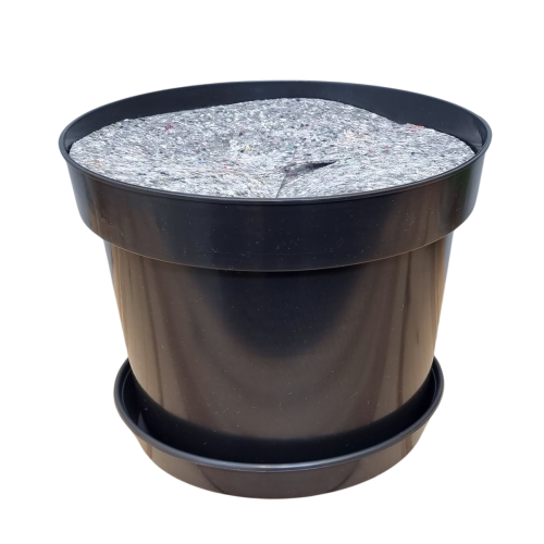rs12-p25-filc30-1.png