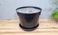 rs12-p25-filc30-2.jpg