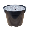 rs12-filc30-1.png
