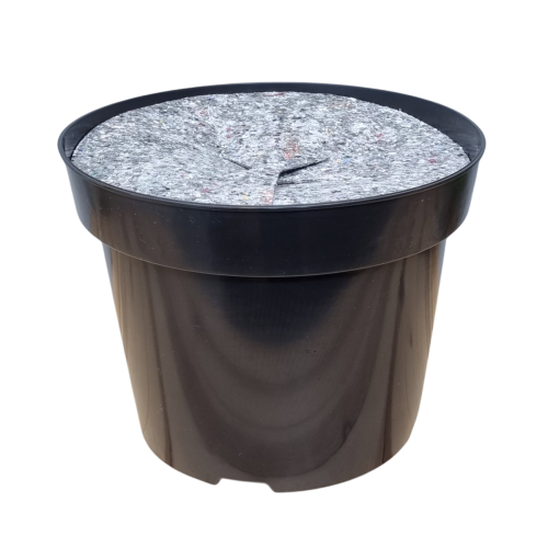 rs12-filc30-1.png