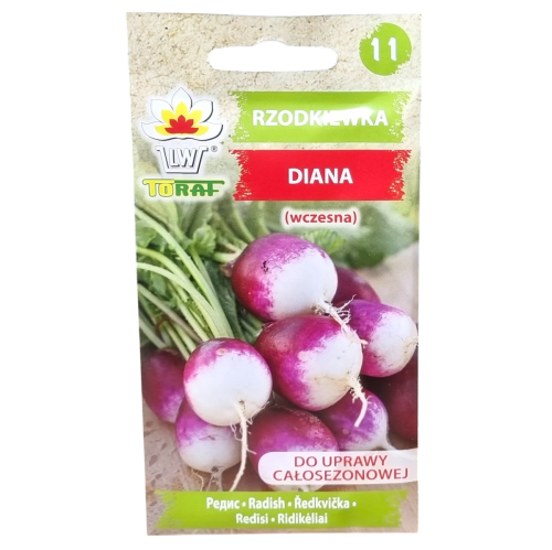 rzodkiewka-diana-1.png