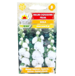 Malwa ogrodowa biała pełna - Alcea rosea, topolówka - nasiona Toraf 0,5g