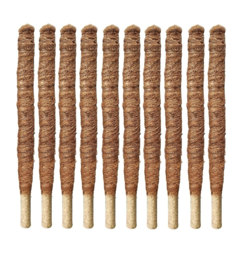 palik-kb50-x10.png