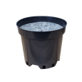 rs2b-filc15-1.png