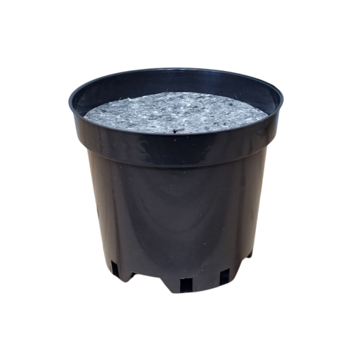 rs2b-filc15-1.png