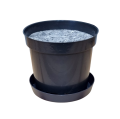 rs2b-lofly15-filc15-1.png