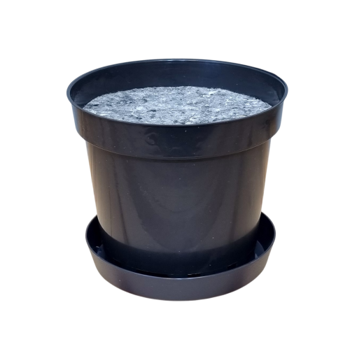 rs2b-lofly15-filc15-1.png