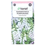 Naparstnica purpurowa ELSIE KELSEY - biało-bordowe kwiaty - nasiona Toraf 0,1g