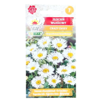 Złocień właściwy CRAZY DAISY - nasiona złocienia Toraf 0,2g
