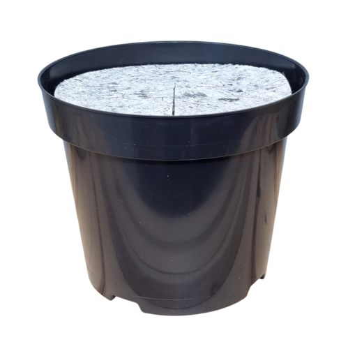 rs7,5-f22-1.png