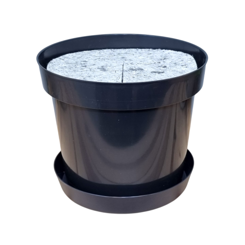 rs7,5-lofly-23-f22-1.png