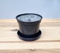 filc-10-ok-3.jpg