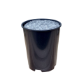 rr1-filc10-1.png