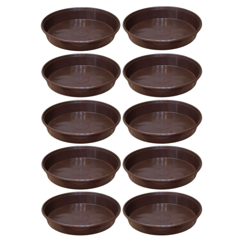p-18-braz-x10-1.png