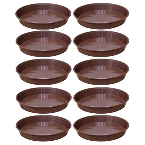 p-25-br-x10-1.png