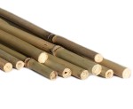 TYCZKI BAMBUSOWE 75cm 100szt. - paliki podpory do pomidorów warzyw kwiatów