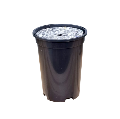 d-do-róż-14cm-1,7L-filc12-1.png