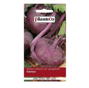 Kalarepa czerwona / fioletowa VIOLETA - nasiona PlantiCo 2g