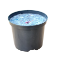 d-22,5cm5LOK-filc21-1.png