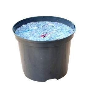 Doniczka produkcyjna szkółkarska 5L 22,5cm OK z osłoną filcową ściółkującą