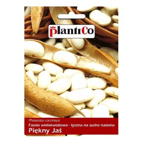 Fasola PIĘKNY JAŚ - odmiana tyczna na ziarno - nasiona Plantico 40g