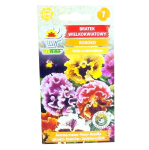 Bratek ROKOKO MIX - fiołek ogrodowy - nasiona kwiatów Toraf 0,2g