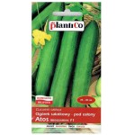 Ogórek ATOS F1 - szklarniowy, tunelowy, długi, gładki - nasiona Plantico 1g