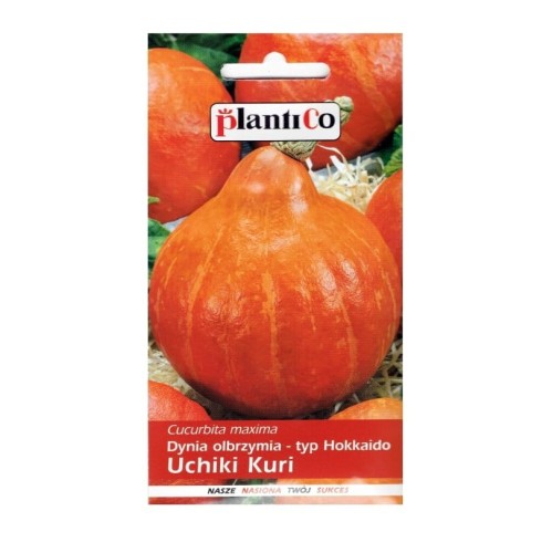 Dynia olbrzymia UCHIKI KURI Hokkaido nasiona 3g
