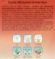 Dynia olbrzymia UCHIKI KURI Hokkaido nasiona 3g