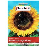 SŁONECZNIK OGRODOWY Helianthus jadalny nasiona 10g