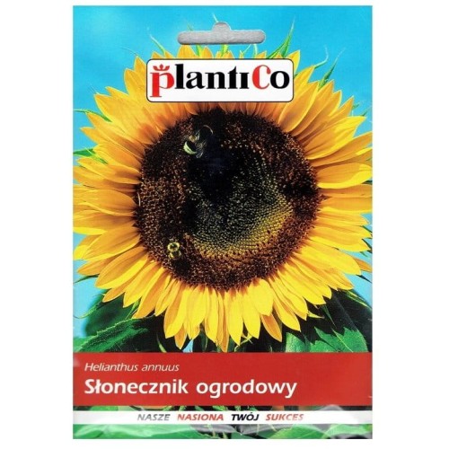 SŁONECZNIK OGRODOWY Helianthus jadalny nasiona 10g