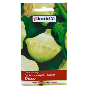 PATISON biały DISCO dynia zwyczajna nasiona 2g