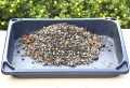 ziemia-bigosdo-storczyka-3L-2L-3.JPG