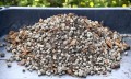 ziemia-bigosdo-storczyka-3L-2L-4.JPG