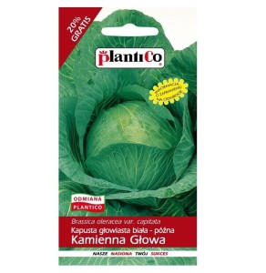 Kapusta biała późna KAMIENNA GŁOWA nasiona 2,4g