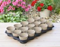 rozsadnik-horti-10:15:T-2.JPG