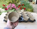 rozsadnik-horti-10:15:T-4.JPG