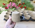 rozsadnik-horti-10:15:T-5.JPG