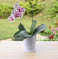 doniczka-coubi-orchid-dsto-biała-mleczna-2.JPG