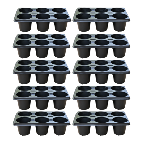 DP-67:6-x10-1.png