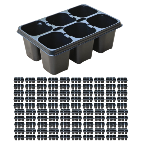 DP-55:6-x100-1.png