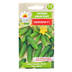 Ogórek gruntowy Nadusha F1 - konserwowy i do kiszenia - nasiona Toraf 1g