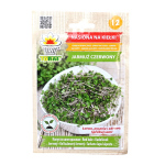 Jarmuż czerwony - nasiona na kiełki 10g - lekko pikantne, ładne i zdrowe