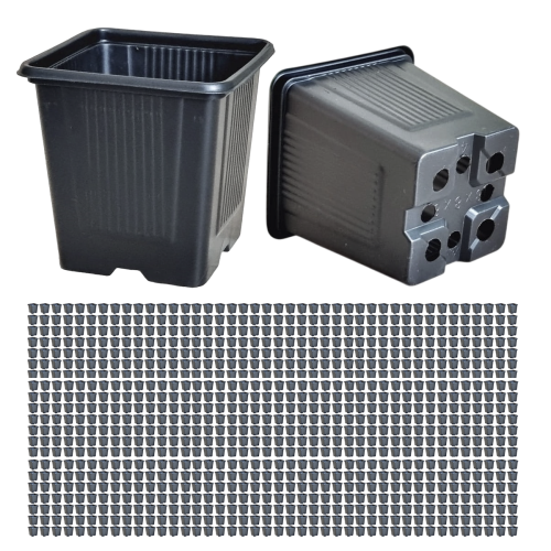 doniczka-8cm-Roko-x1000.png