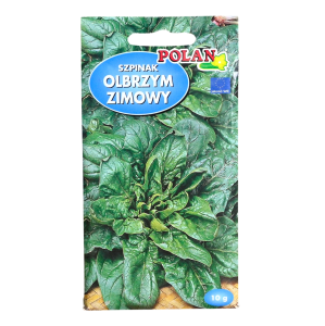 Szpinak OLBRZYM ZIMOWY - nasiona szpinaku Polan 10g