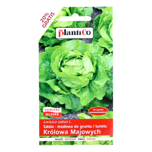 Sałata KRÓLOWA MAJOWYCH nasiona PlantiCo 1g - masłowa głowiasta wczesna
