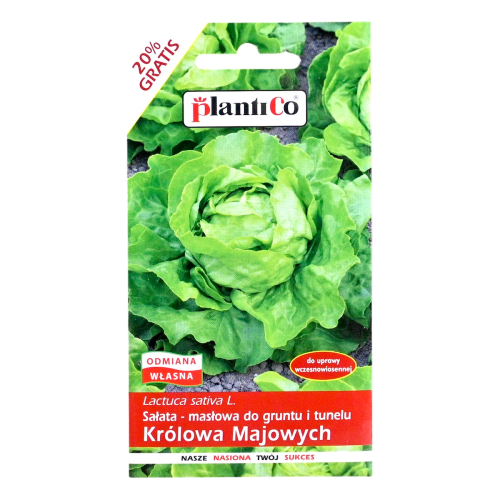 sałata-królowa-majowych-plantico-1.png