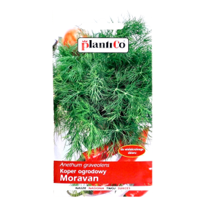 Koper ogrodowy MORAVAN nasiona PlantiCo 5g - aromatyczny, wielokrotny zbiór
